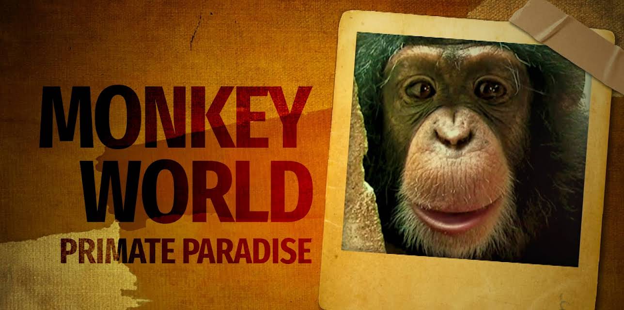 Monkey World: Primate Paradise