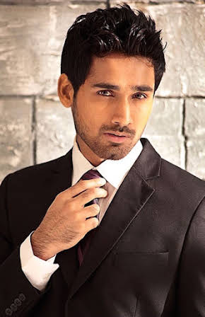 Amitash Pradhan as 