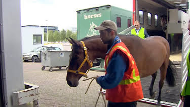 07:20: Wie geht das? Pferde verschicken | NDR Fernsehen | 2/9 2026