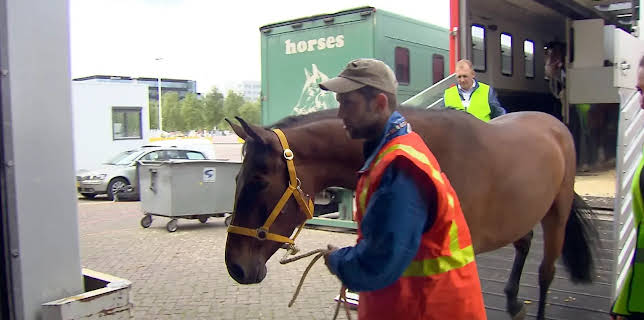 06:20: Wie geht das? Pferde verschicken | Radio Bremen | 2/9 2026