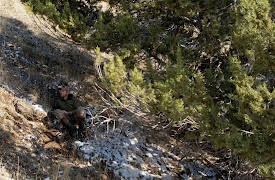 Nature Watching: How to Find and Observe Wildlife: Camouflage and Becoming Invisible