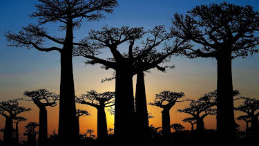 15:10: Verborgen im Dschungel - Geheimnisse aus der Vergangenheit | Kabel Eins Doku | 4/17 2026