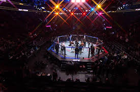 UFC Reloaded: Episode 5