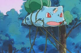 Pokémon The Series: Indigo League: Episode 48