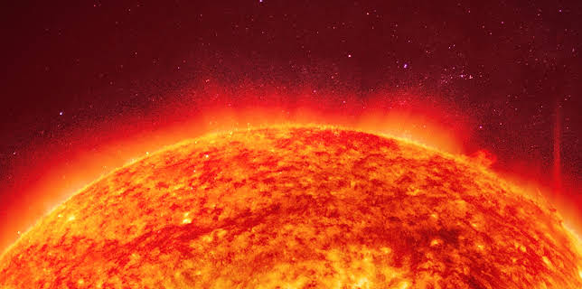 9:00 AM: - | Animal Planet | 11/8 2025