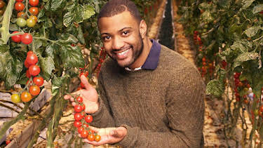 12:25 PM: Down on the Farm (S2) | Cbeebies | 9/6 2026