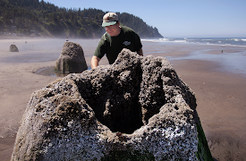 X-Ray Earth: Kjempejordskjelv i Seattle