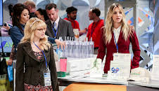 Big Bang Theory, The (S12 E17)