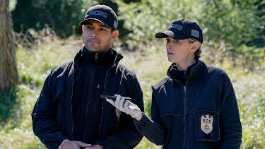 20:00: NCIS (S17 E18) (S17) | TV8 | 7/24 2026