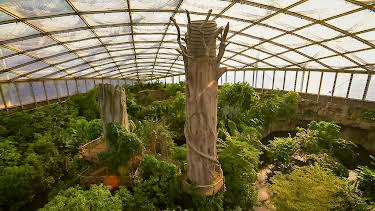 21:00: Das Gondwanaland in Leipzig: Urwald in der Großstadt | RBB Fernsehen | 6/21 2026