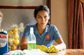 The Cleaning Lady: Season 1: The Lion's Den