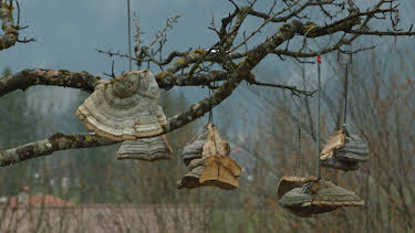 11:05: Osterbräuche im Oberland - Von Karfreitag bis Ostermontag | 3SAT | 4/5 2026