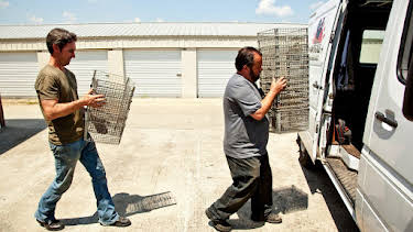 7:30 AM: American Pickers (S2 E11) (S2) | ITV4 | 10/29 2026
