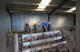 Salvage Hunters: Episode 5