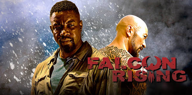 Falcon Rising (2014)