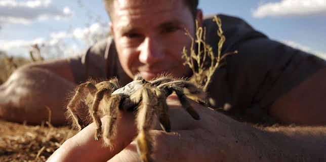 10:10 AM: Deadly 60 (S1) | CBBC | 11/19 2025