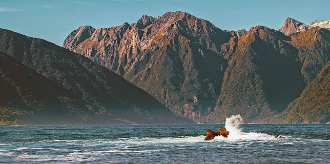 20:15: Neuseeland | Arte | 1/22 2026