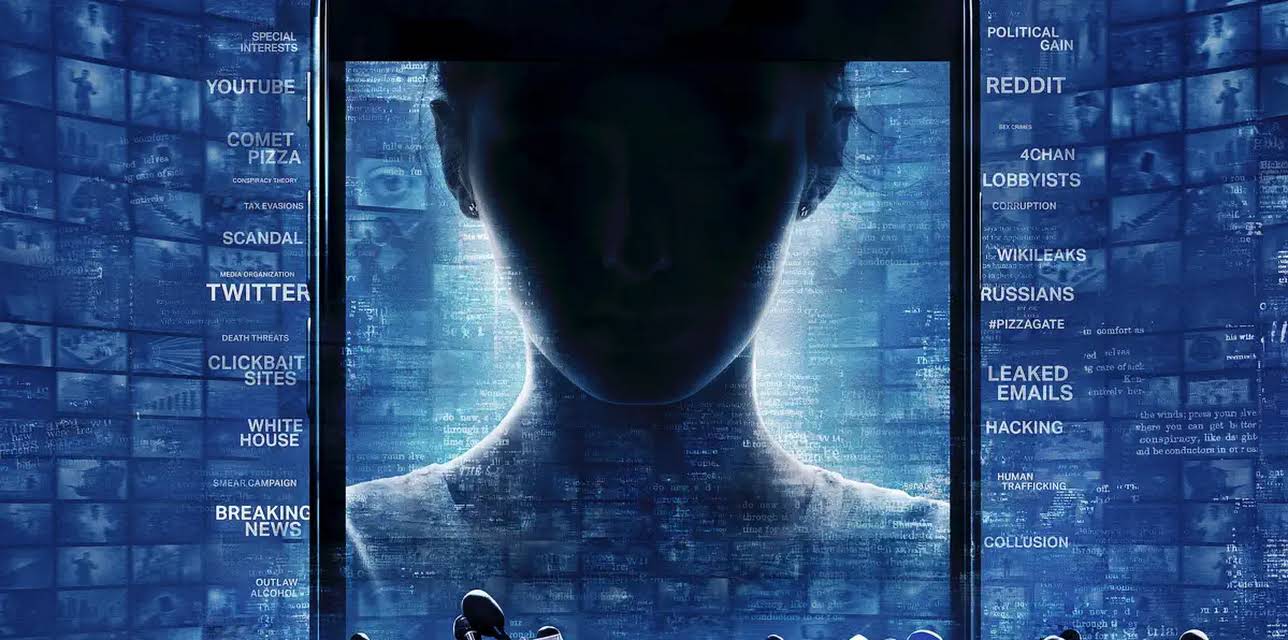 After Truth: Disinformation and the Cost of Fake News (2020)