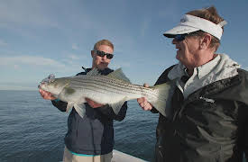 George Poveromo's World of Saltwater Fishing, Season 5: When the Cows Came Home
