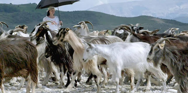 18:34: Raue Welten - Wilde Schönheiten | Arte | 11/11 2025