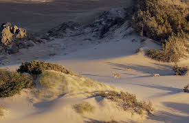 Planet Earth: Episode 5