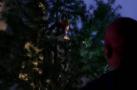 On Patrol: Live - Shorts season-1: 12 Street Calls In Toledo That Turn Into Chaos