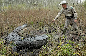 Lone Star Law Season 1: Gator vs. Dog