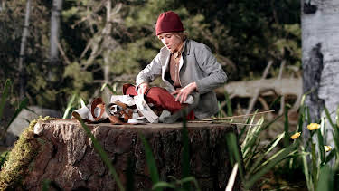 06:05: Nils Holgerssons wunderbare Reise (2/2) | Das Erste | 3/29 2026