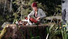 Nils Holgerssons wunderbare Reise (2/2)