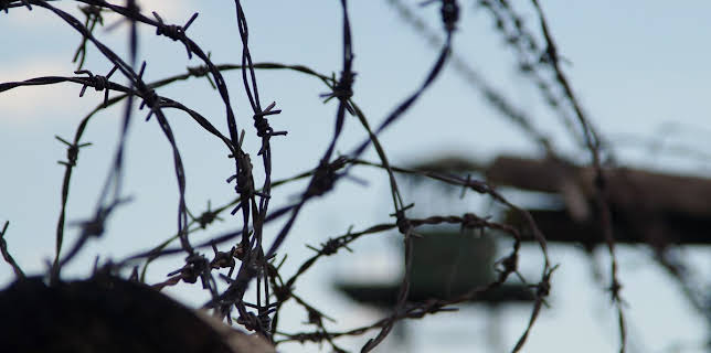 11:15 PM: The Invasion Of Belgium | History | 1/9 2026