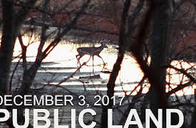 The Hunting Public: December 3 - Public Land: River Bottom Bucks, Natural Browse Food Source