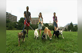 Shimura Zoo: Episode 305