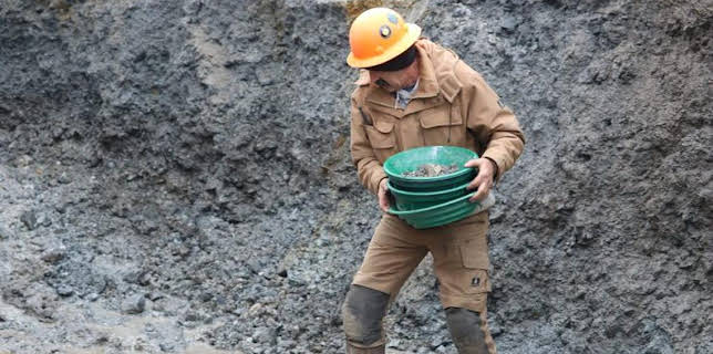 10:00 AM: Hoffman Family Gold (S1) | Discovery Channel | 3/10 2026