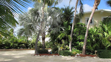 06:00: Drømmen om et øyliv (S17 E8) (S17) | FEM | 3/26 2026