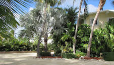 Drømmen om et øyliv (S16 E10)