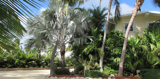 08:30: Drømmen om et øyliv (S16 E1) (S16) | VOX | 10/31 2025