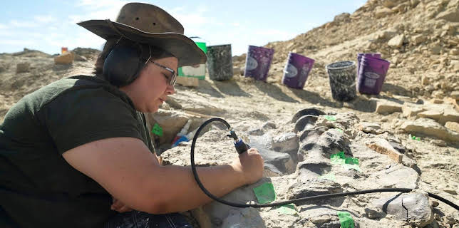 21:05: Geheimnisse der Jurassic-Saurier | ARD Alpha | 12/29 2025