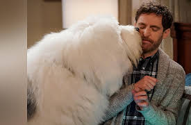 B Positive Season 1: Canine Extraction