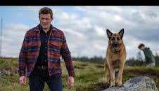 Hudson y Rex (T4): Ep.1 Sid y Nancy