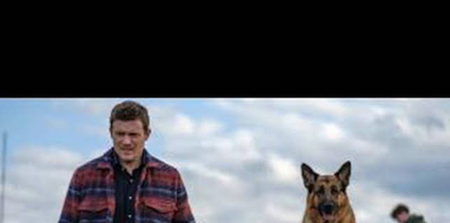 20:06: Hudson y Rex (T4): Ep.1 Sid y Nancy | AXN | 1/30 2026