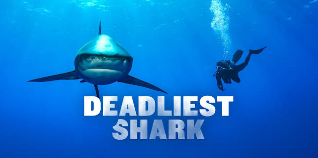 Deadliest Sharks (2016)