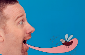 Steve and Maggie - Funny Friends: Steve the Animal