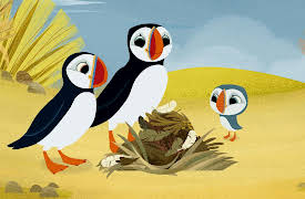 Puffin Rock Season 1: A Feather Bed