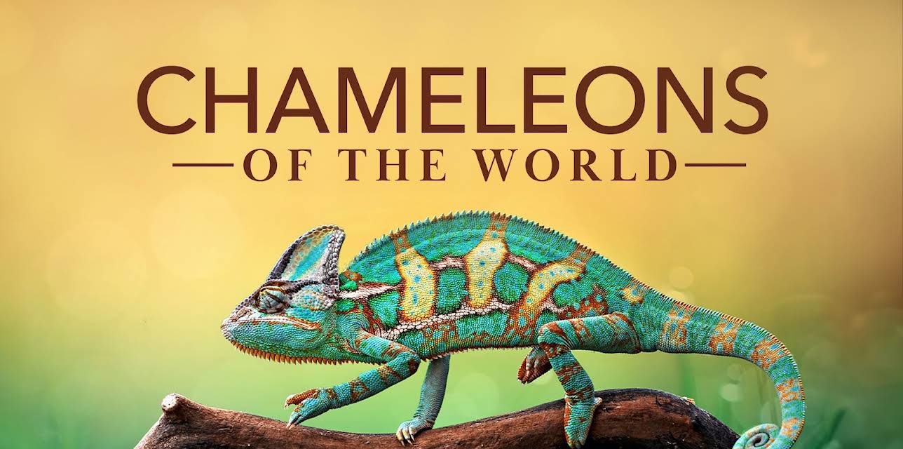 Chameleons of the World