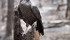 Märchenhaftes Tschechien