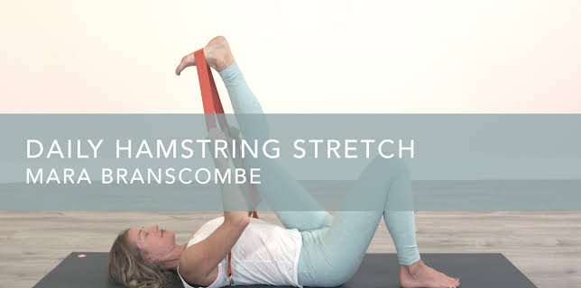 Daily Hamstring Stretch (2019)