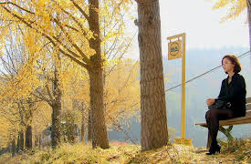 Secret Love: Secret Love Episode 13