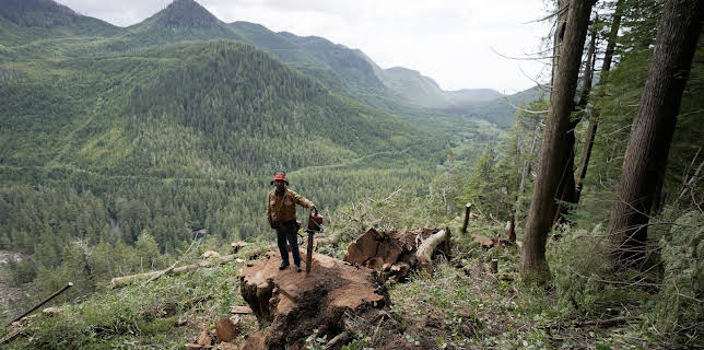 20:00: The Last Woodsmen (S1 E9) (S1) | Discovery Channel | 12/27 2025