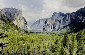 The National Parks: Nature Meditations: Yosemite National Park