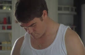 Doc Martin: 4. The Portwenn Effect